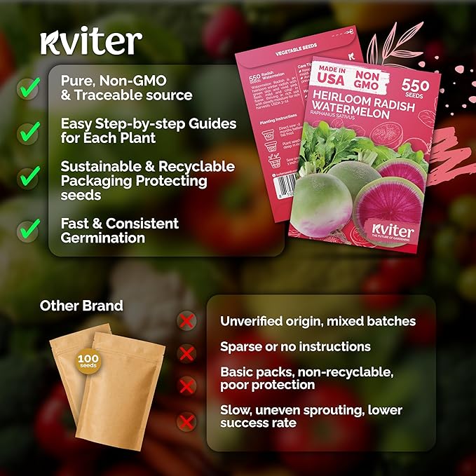 KVITER 550 Watermelon Radish Seeds (Raphanus Sativus) - Red Meat Radish Seed Packets, Mild Sweet Flavor, Heirloom Seed - Annual Vegetable Seeds for Outdoor Garden, Raised Beds, Containers