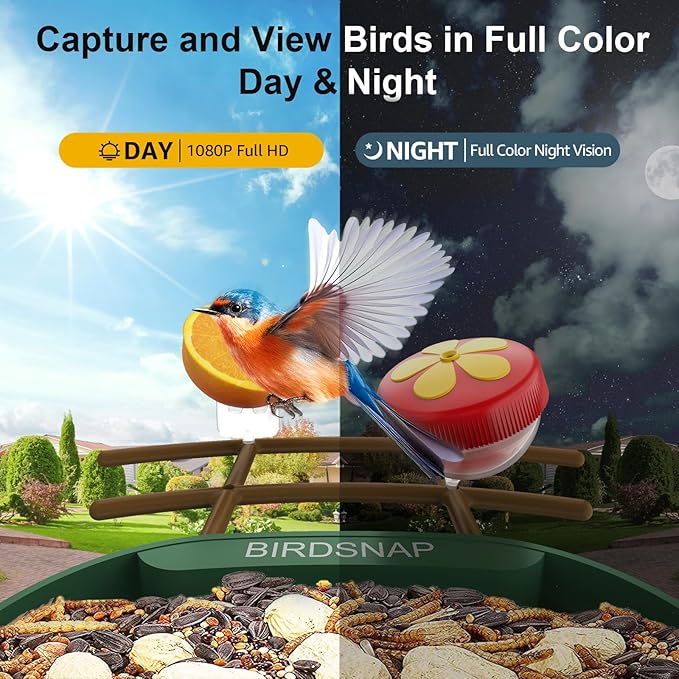 birdsnap® PAV-Bird Feeder with Camera,2K HD with 64GB Card, AI Identify Smart Bird House Cam Solar Panel,Live Stream,Motion Detection,Auto Record Video for Backyard Outdoors,Ideal Gift for Bird Lover
