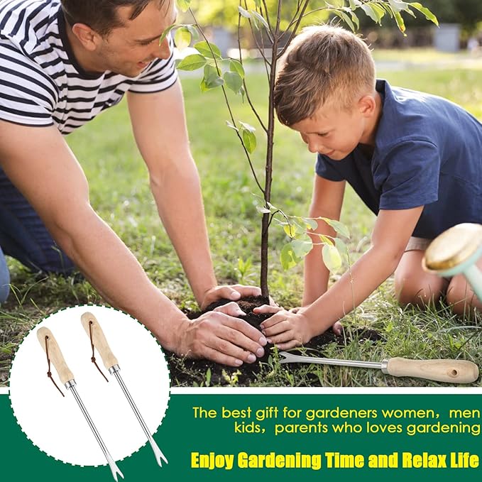 CHENGU 2 Pack Weeder Tool with Ergonomic Handle Manual Weeders Weed Puller Weeding Tool Garden Tools Gardening Tools for Lawn Garden Yard Farmland Plant Removal Supplies (Fresh Style, Wood Handle)