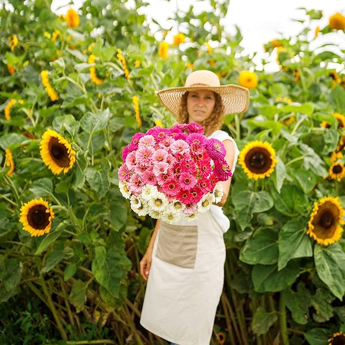 Eden Brothers Zinnia Seeds - Show Stopper Mix, Non-GMO Seeds for Planting, 1/4 lb | Low-Maintenance Flower Seeds, Plant During Spring, Zones 3, 4, 5, 6, 7, 8, 9, 10