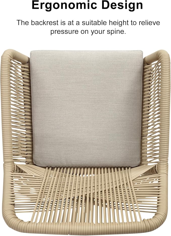 PURPLE LEAF 11 Pieces Outdoor Dining Set All-Weather PE Rattan Outdoor Patio Furniture Set with All Aluminum Frame Rectangular Table and Chairs Set for Lawn Garden Backyard Deck, Teak