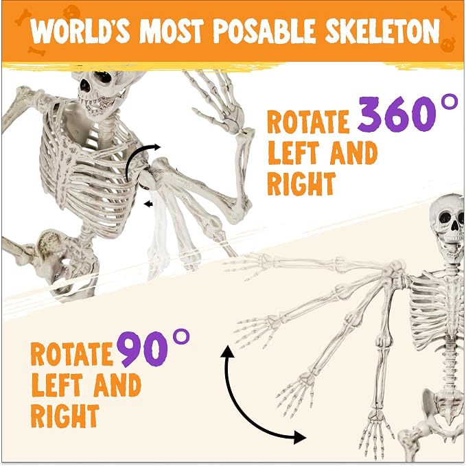 JOYIN 5.6 FT Halloween Posable Life Size Skeleton Full Body Realistic Bones with Movable Joints for Halloween Indoor and Outdoor Decoration Props Spooky Scene Party Decorations (White)