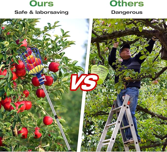 RAIN SPIRIT Fruit Picker Pole tool with Basket, 6FT Telescoping extension fruit picking rod for Apples Mango Orange Pear Tree Picker, nut picking with Adjustable stainless steel rod