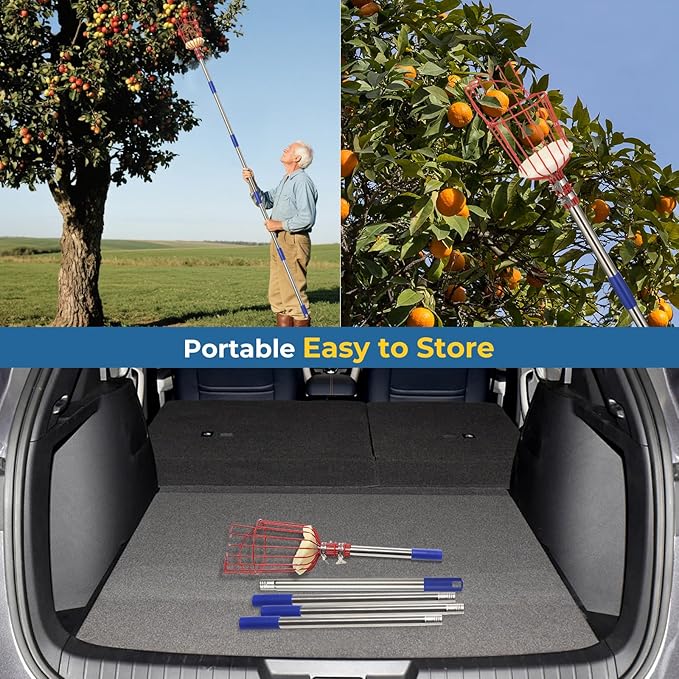 75" Fruit Picker Pole Tool for Long Reach, No Ladder Required, Portable Splicing Tool for Seniors,Kids,Year-Round Use– Effortless Harvesting for Apples, Avocados,Oranges,Grapefruit,Mangoes,Plums,Pear