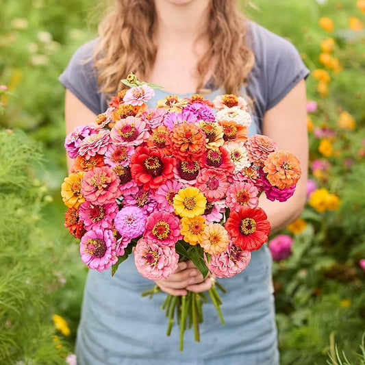Eden Brothers Zinnia Seeds - Pumila/Cut & Come Again Mix, Non-GMO Seeds for Planting, Packet | Low-Maintenance Flower Seeds, Plant During Spring, Zones 3, 4, 5, 6, 7, 8, 9, 10