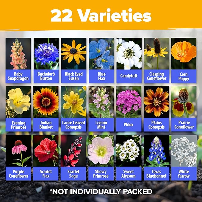 HOME GROWN Texas Wildflower Seeds Bulk Mix | 87,500+ Non-GMO Perennial Flower Seed for Attracting Bees, Birds & Butterflies | 22 Varieties for Full Sun & Shade Gardens | 2 oz