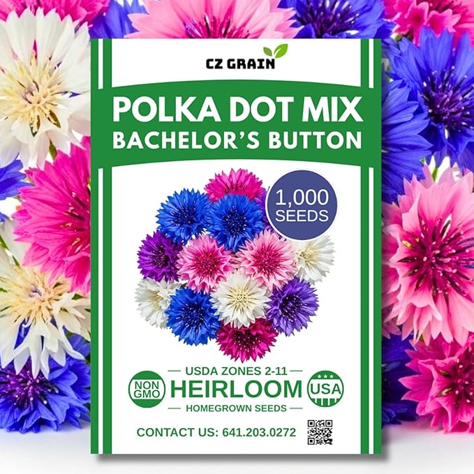 1,000 Polka Dot Bachelor Button Seeds for Planting - Heirloom, Non-GMO, USA Grown Cornflower Seeds - Easy to Grow, Cut Flower & Pollinator Favorite – Colorful Centaurea Cyanus