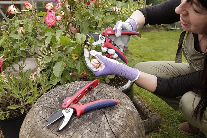 Spear & Jackson CUTTINGSET2 Bypass & Anvil Secateurs Set, Red