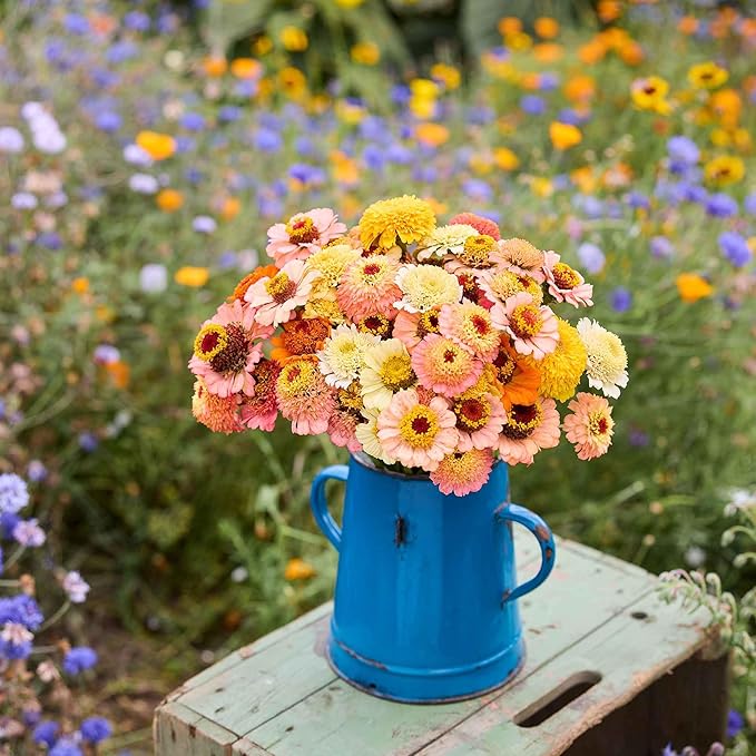 Eden Brothers Zinnia Seeds - Cresto! Peaches and Cream