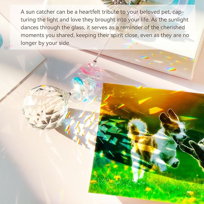 Loss of Dog Sympathy Gift, Dog Memorial Suncatcher, Pet Loss Sympathy Gifts | Angel Dog Passing Away Remembrance Bereavement Gift