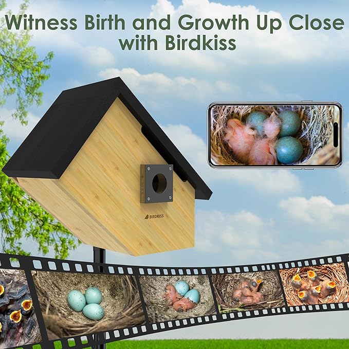 Birdkiss Smart Bird Houses for Outside Solar Powered, 1080P HD Live View Birdhouse with Camera, Perfect Viewing Bird Nesting and Hatching, Ideal Outdoors Bird House for Blue Bird and Cardinal (Black)