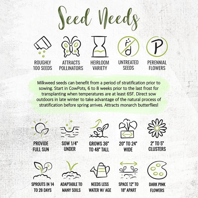 Seed Needs Milkweed Seeds for Planting Common Pink/Swamp White Asclepias Flowers - Heirloom Wildflowers to Attract Monarch Butterflies to a Butterfly Garden (2 Pack Duo)