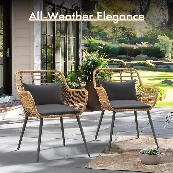 JOIVI 2 PCS Outdoor Patio Chairs, Wicker Dining Chairs with Armrest, Black | Set of 2, All-Weather Outdoor Seating with Iron Frame, w/Seat Cushions, Balcony Furniture for Apartments, Porch, Backyard