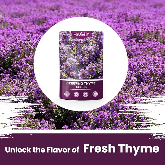 20000+pcs Creeping Thyme Seeds for Planting, Perennial Ground Cover Plants Flowers Seeds Fragrant Herb Seeds for Lawns & Paths Garden