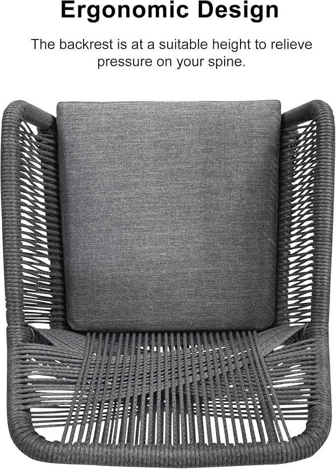 PURPLE LEAF 12 Pieces Outdoor Patio Dining Sets All-Weather PE Rattan Furniture Set with All Aluminum Frame Outdoor Table and Chairs Set for 10 People Lawn Garden Backyard Deck, Grey