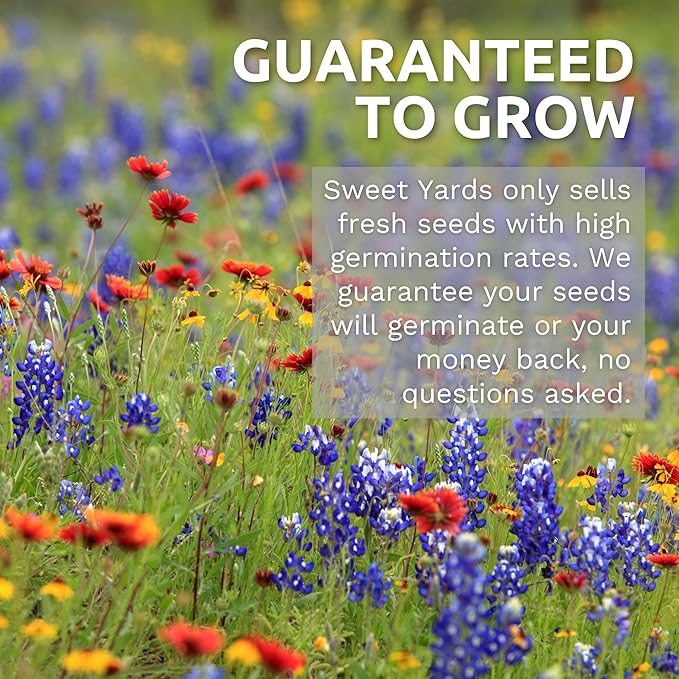 Sulphur Cosmos - Bright Lights Mix - Large 1 Ounce Packet - 3,500 Flower Seeds for Planting - Wildflower Mix
