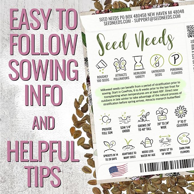 Seed Needs Milkweed Seeds for Planting Showy Pink/Common Pink Asclepias Flowers - Heirloom Wildflowers to Attract Monarch Butterflies to a Butterfly Garden (2 Pack Duo)