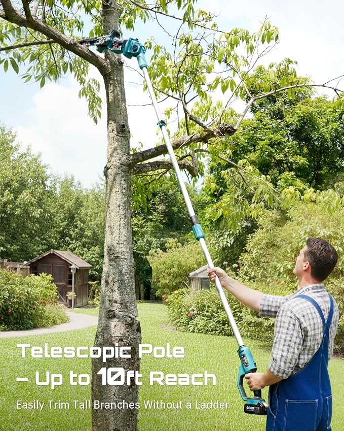SEESII 10-Inch 2-in-1 Cordless Pole Saw & Mini Chainsaw, 21V Battery Powered Brushless Electric Tree Trimmer with Extension Pole, 2×4000mAh Batteries, Automatic Oiling,Handheld Pruner