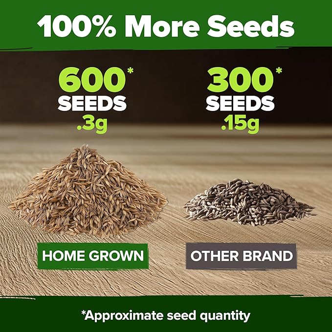 HOME GROWN Dandelion Seeds for Planting 600 Heirloom Medicinal Herb Seeds Non GMO Grow Edible Leaves and Flowers for Remedies or Wildlife (Taraxacum officinale)