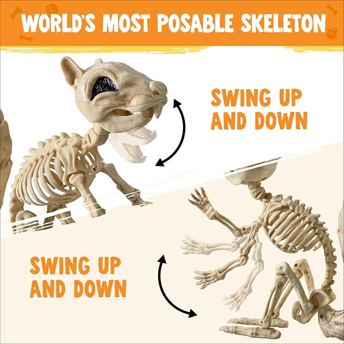 JOYIN Squirrel Skeleton Halloween Decoration 9.1 Inch Animal Posable Skeletons Movable Joints Plastic Bones with Pine Cones for Halloween Haunted House Decor Spooky Scene Garden Patio Party Prop