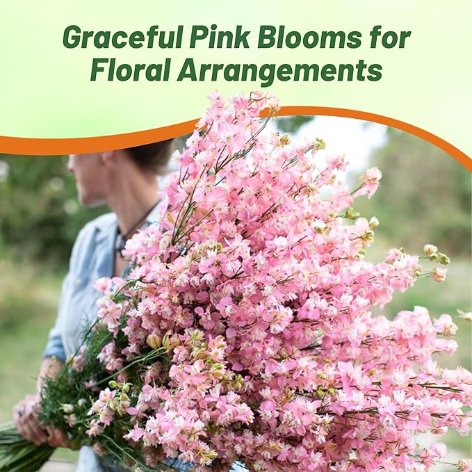 Outsidepride Delphinium Pink Larkspur Seeds for Planting Outdoors - 2000 Pcs Annual, Self-Seeding, Heat & Drought Tolerant Wildflower Seeds, Colorful Blooms for Flower Arrangement & Pollinator Garden