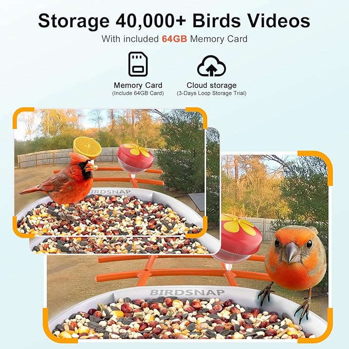 birdsnap® PAV-Bird Feeder with Camera,2K HD with 64GB Card, AI Identify Smart Bird House Cam Solar Panel,Live Stream,Motion Detection,Auto Record Video for Backyard Outdoors,Ideal Gift for Bird Lover