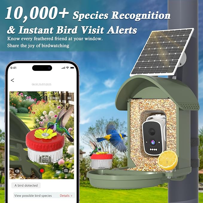 Bird Feeder with Camera, 3K Smart Bird Camera with AI Identification & Bird Bath, Solar Powered Wireless Outdoor Bird House with Spill-Proof Net, Ideal Backyard Watching Gift to Bird Lovers