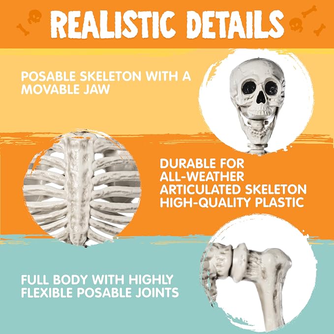 JOYIN 5.6 FT Halloween Posable Life Size Skeleton Full Body Realistic Bones with Movable Joints for Halloween Indoor and Outdoor Decoration Props Spooky Scene Party Decorations (White)