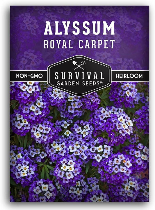 Alyssum Seeds for Planting - Sweet Royal Carpet Purple Variety - Fragrant Perennial Flower & Ground Cover - Heirloom Non-GMO - Survival Garden Seeds (1 Pack)