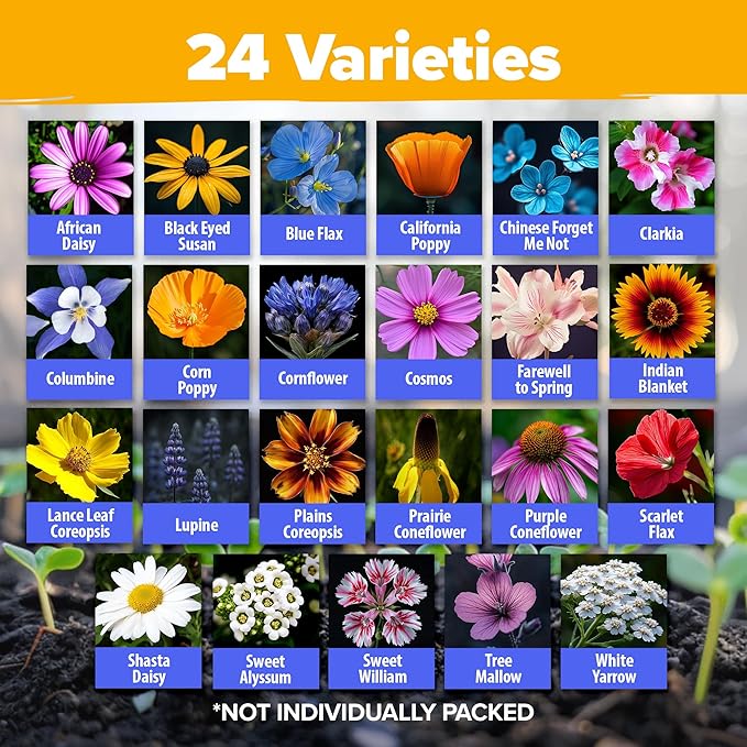 HOME GROWN Wildflower Seeds Bulk Mix | 90,000+ Non-GMO Perennial Flower Seed for Outdoor Planting | 24 Varieties to Attract Bees, Birds & Hummingbirds | Butterfly Garden | 3 oz