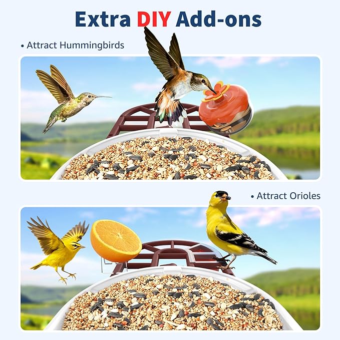 PeckCam® Bird Feeder with Camera with AI Identify 10000+ Birds Species, 3 Solar Panels, 2K Live View, Instant Arrival Alerts, Smart Bird House with Cam, Gift for Bird Lovers