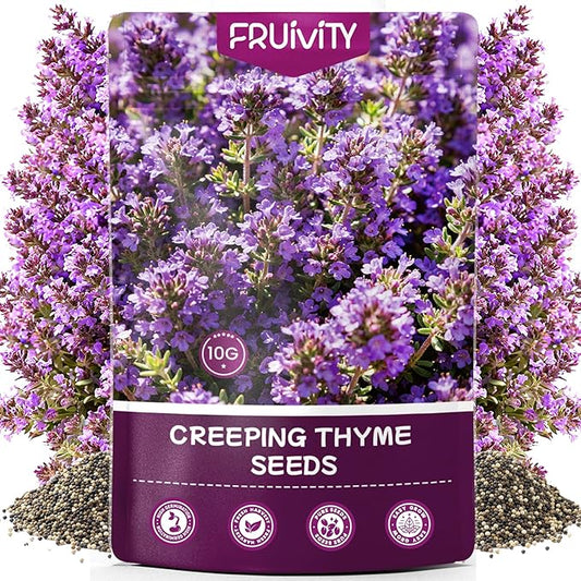 20000+pcs Creeping Thyme Seeds for Planting, Perennial Ground Cover Plants Flowers Seeds Fragrant Herb Seeds for Lawns & Paths Garden
