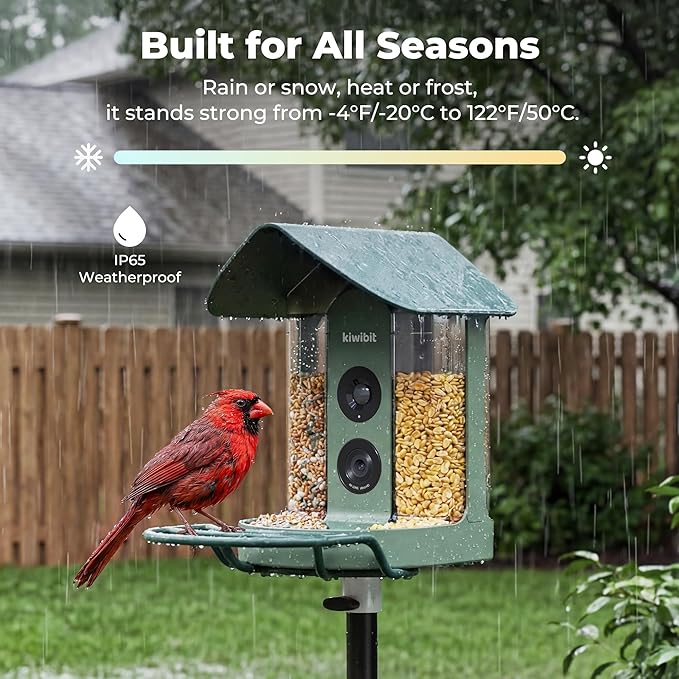Kiwibit Smart Bird Feeder with Camera, Solar Powered for Outdoors, Bird Species AI Identification, 8MP Photos, 4K Video Livestream, Real-Time Bird Alerts, Birdwatching Gifts for Bird Lovers, Sage Pine
