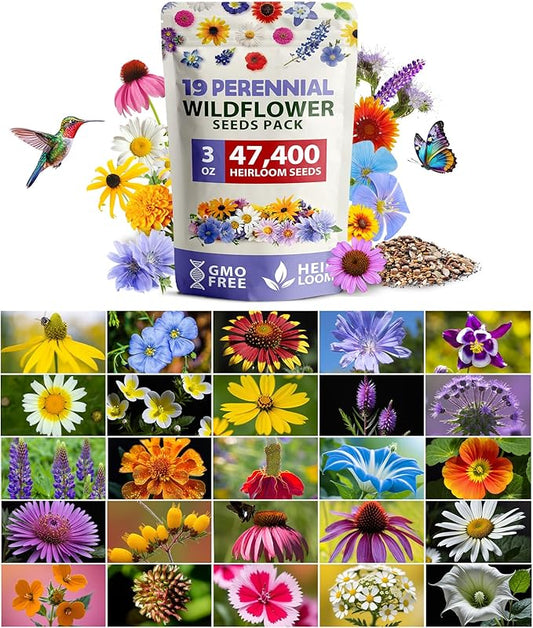 HOME GROWN Wildflower Seeds Bulk Mix | 47,400+ Non-GMO Perennial Flower Seed for Outdoor Planting | 19 Varieties for Attracting Birds & Butterflies | 3 oz