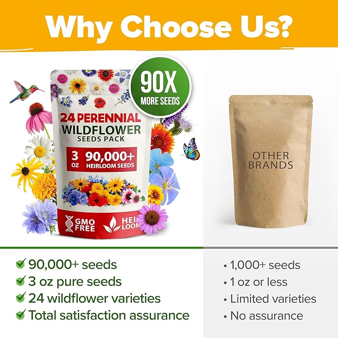 HOME GROWN Wildflower Seeds Bulk Mix | 90,000+ Non-GMO Perennial Flower Seed for Outdoor Planting | 24 Varieties to Attract Bees, Birds & Hummingbirds | Butterfly Garden | 3 oz