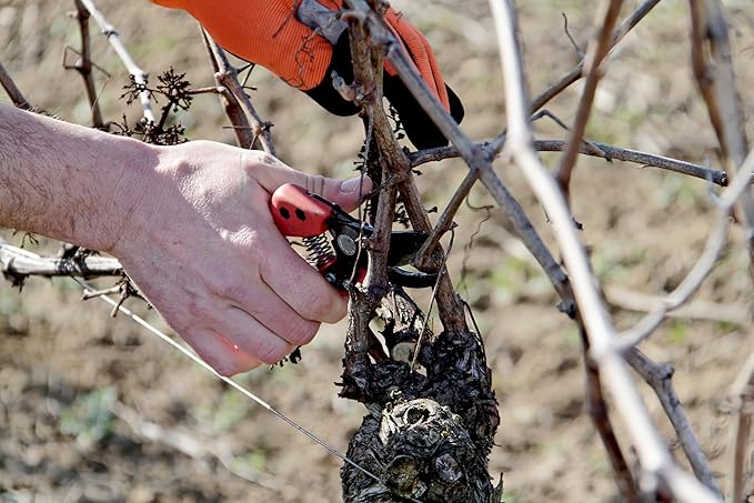 Bahco BAHPX-M2 Pruner PX 7-1/2" Medium with 3/4" Cutting Capacity & #2 Blade, Ergonomic Garden Shears with Precision Slicing Cut, Designed for Comfort, Accuracy, & Low-Fatigue Pruning & Landscape Care
