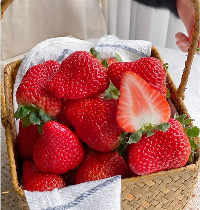 ZEshops 200pcs Cream Strawberry Seeds - Hardy Perennial Herb, Fall & Spring Planting, Vibrant Multi-Color Harvest (Red Strawberry)