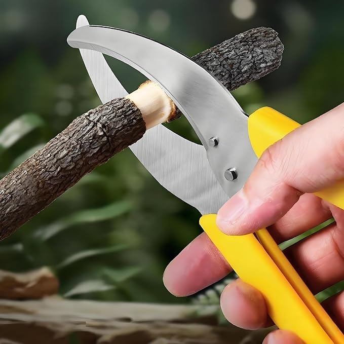 2 PCS Potted Plant Fruit Tree Orchard Ring Barking Cutter Scissor Professional Grafting Tool Girdling Shear Garden Tree Ring Barking Cutter Scissor (2)