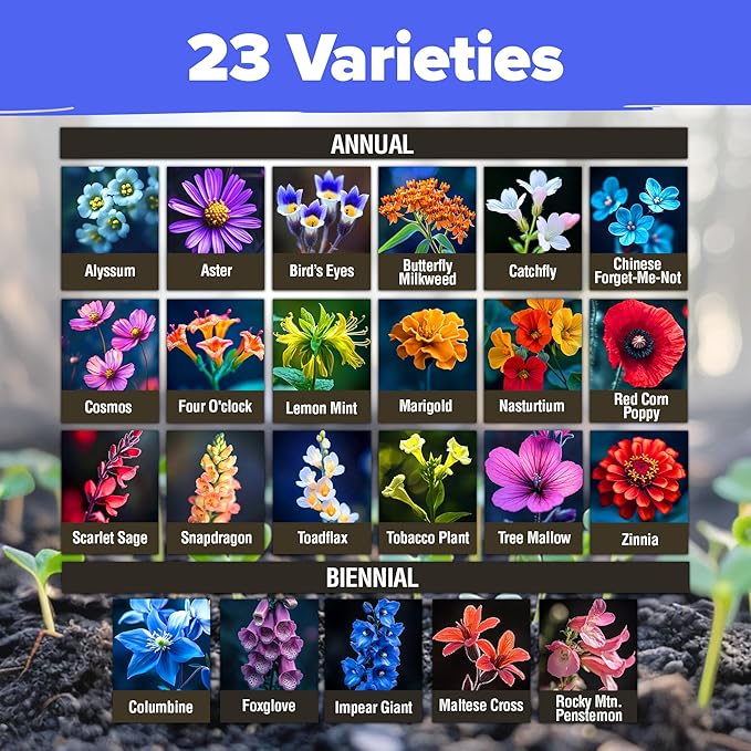 HOME GROWN Premium Wildflower Seeds Bulk Mix | 134,000+ Non-GMO USA Native Flower Seed for Planting Outdoors | 23 Perennial & Annual Varieties for Butterfly Garden | 3 oz