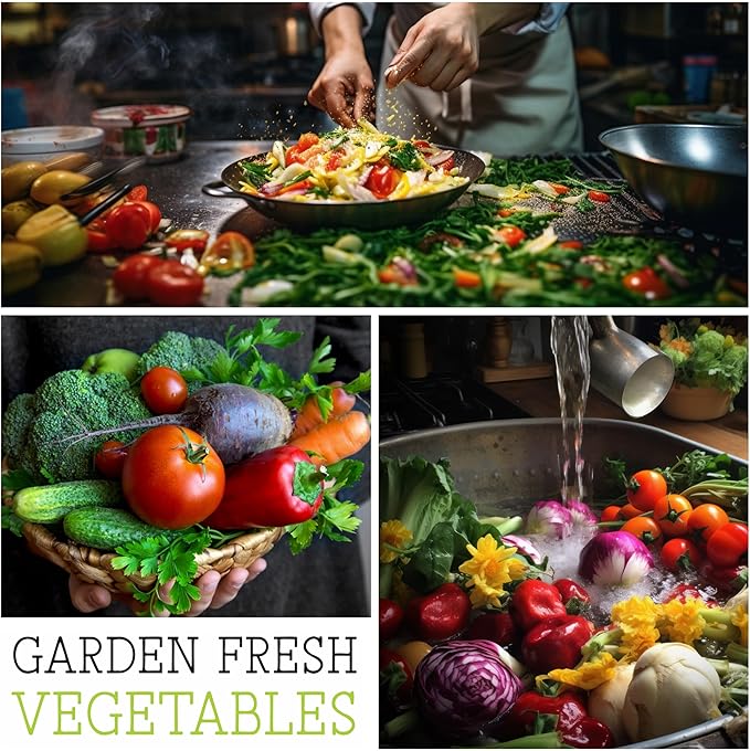 Seed Needs Lettuce Seeds Variety Pack for Planting a Collection of 8 Individual Varieties - Packets Includes Romaine, Iceberg, Oakleaf, Lollo Rosso and More