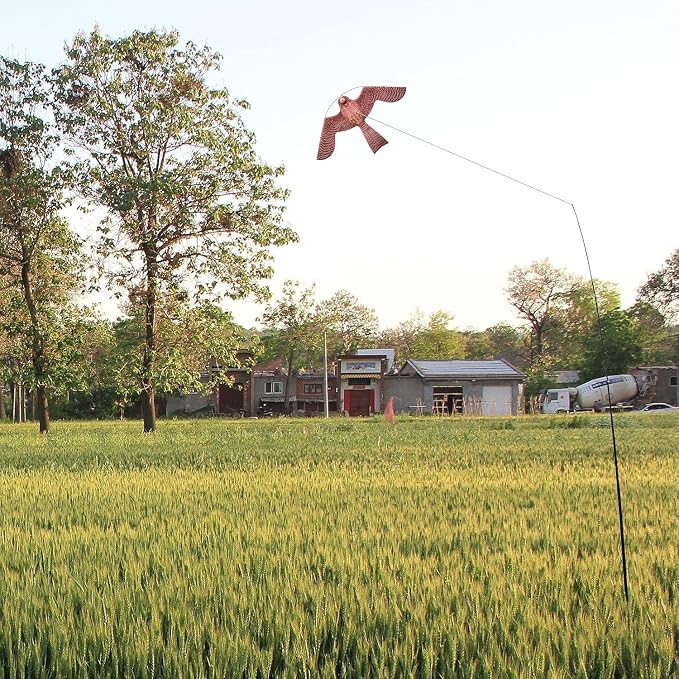 Birds Scaring Hawk Flying Kite Professional Pigeon Scarer only Kite(Brown-Pink)