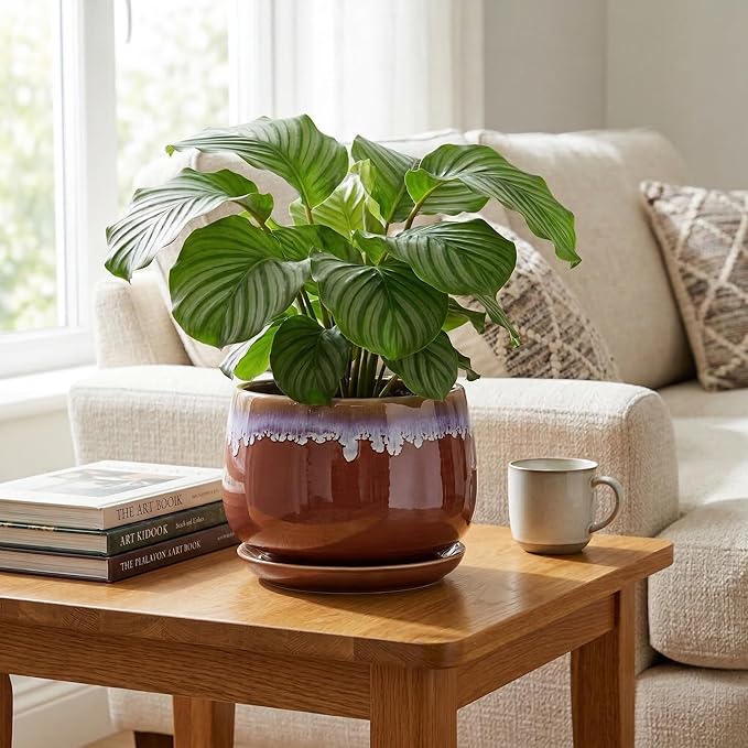 9 Inch Ceramic Planter - Indoor Planters with Drainage and Saucer, Decorative Flower Pot for Indoor Plants, Round Large Plant Pots, Office Patio House Decor, House Warming Gifts, Red-Purple
