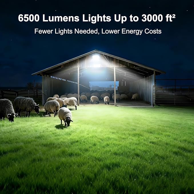 LED Flood Light Outdoor 6500LM 85-277V Protable Work Lights with 6.5ft Plug & Switch, 100W Equivalent 5000K Flood Light, IP67 Waterproof LED Security Lights for Garage,Garden,Stadium