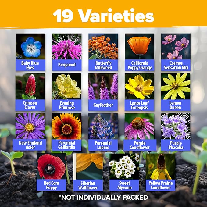 HOME GROWN Premium Wildflower Seeds Bulk Mix | 59,300+ Perennial & Annual Flower Seed for Planting Outdoors | 19 Varieties Throw and Grow for Bees & Butterflies | 2 oz