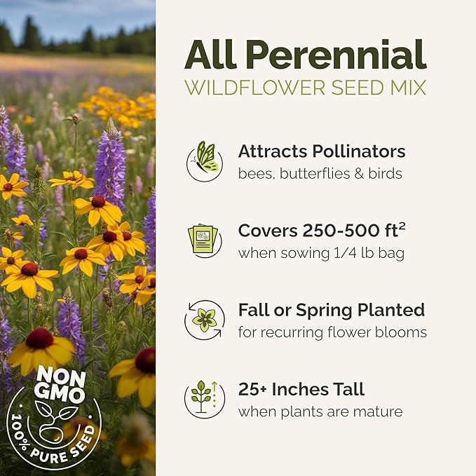 Eden Brothers All Perennial Wildflower Seed Mix for Planting, 1/4 lb, 135,000+ Seeds, Throw and Grow 19 Flower Varieties, No Fillers Covers 2,000-2,250 Sq Ft, Attracts Pollinators, Non-GMO, Zones 3-10