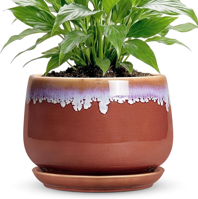 Ceramic Pots for Plants 7 Inch - Ceramic Planters for Indoor Plants, Indoor Plant Pots with Drainage and Saucer, Decorative Round Flower Pot, Garden House Room Decor, Plant Gifts, Red-Purple