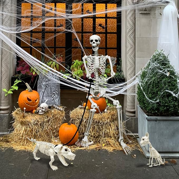5.4Ft Posable Halloween Skeleton with Dog Cat Skeleton for Halloween Decor | Full Body Life Size Human Bones with Movable Joints