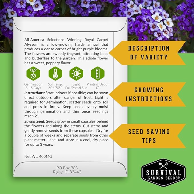 Alyssum Seeds for Planting - Sweet Royal Carpet Purple Variety - Fragrant Perennial Flower & Ground Cover - Heirloom Non-GMO - Survival Garden Seeds (1 Pack)