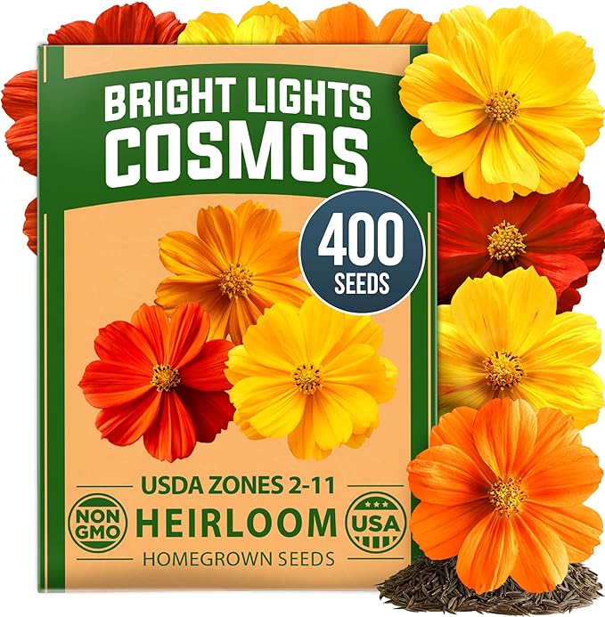 HOME GROWN Cosmos Bright Lights Mix Seeds – 400 Cosmos Sulphureus for Planting Spring 2026, Refined Wildflower Herb Seed Mix, Easy Grow Outdoor Flower Seeds for Gardens