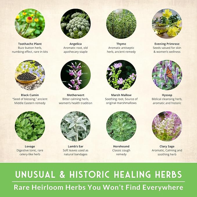 Ultimate Medicinal Herb Seeds Variety Pack – 36 Heirloom Non-GMO Healing Herbs for Planting | Wellness & Apothecary Garden Kit for Herbalists, Homesteaders – Survival Garden Seeds (28,000+)